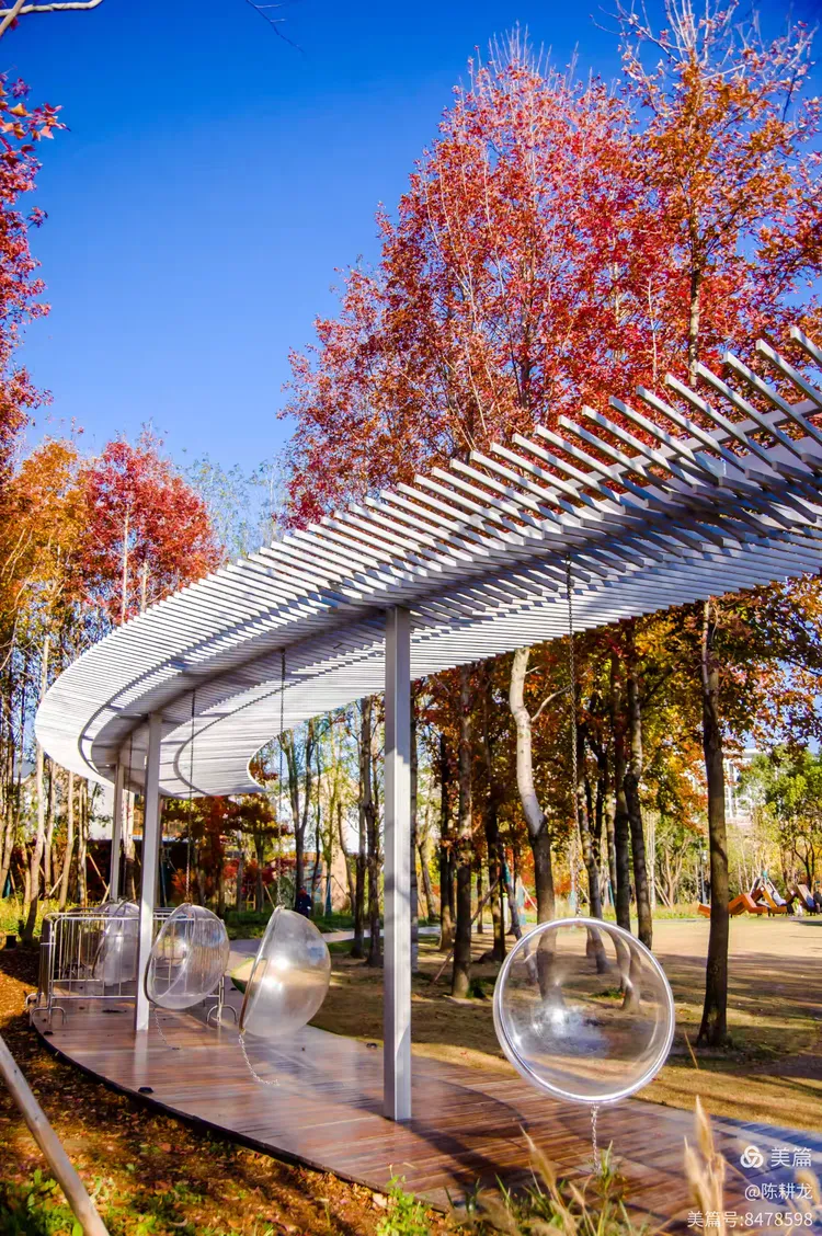 …初冬的西岸自然艺术公园